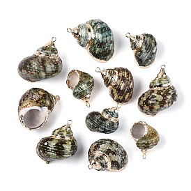 Подвески из натуральных морских ракушек, покрытые гальваническим способом, подвески в форме ракушек, с медными петлями, золотые