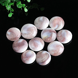 Natural Conch Shells Round Decorations, Sun Shell, for Meditation, Chakra Home Decoration