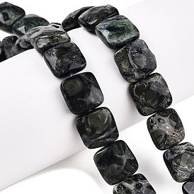 Natural Kambaba Jasper Beads Strands, Faceted Square