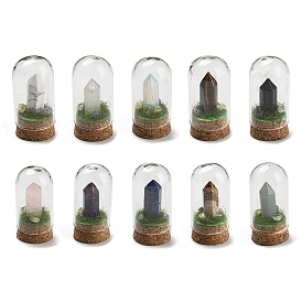 Décoration d'affichage de balles de pierres précieuses avec couvercle de cloche en verre, Ornements de cloche de base en liège pour la décoration de la maison