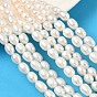 Natural Cultured Freshwater Pearl Beads Strands, Potato