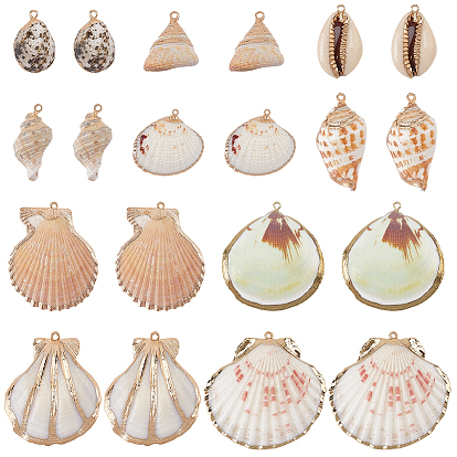 20Pcs 10 Styles Electroplated Natural Mixed Shell Pendants, Shell Shape Charms, with Iron Findings, Mixed Color