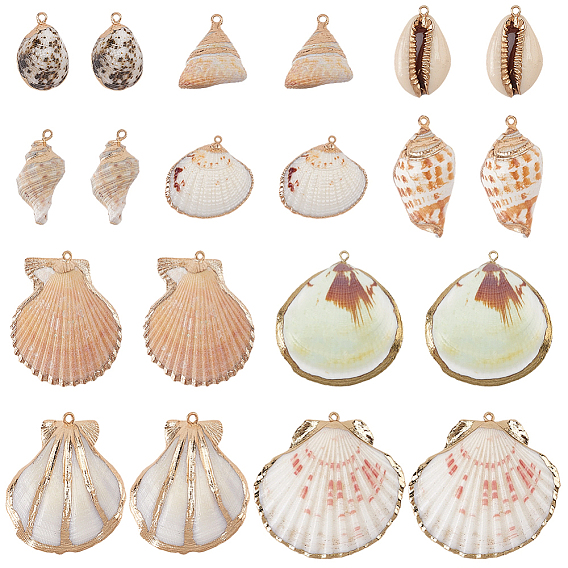 20 piezas 10 estilos colgantes de concha mixta natural galvanizada, encantos de forma de concha, con fornituras de hierro, color mezclado