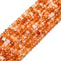 Natural Carnelian Beads Strands, Faceted, Rondelle