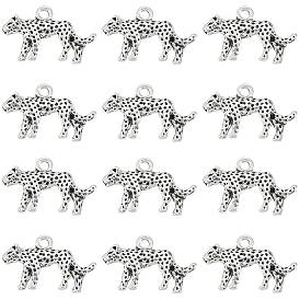 60 шт. Подвески из сплава в тибетском стиле, леопардовые прелести