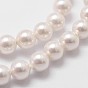 Shell Pearl Beads Strands, Grade A, Polished, Round