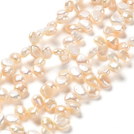 Natural Cultured Freshwater Pearl Beads Strands, Two Sides Polished, Grade 4A+