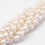 Rainbow Plated Shell Pearl Beads Strands, Grade A, Drop