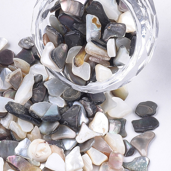 Black Lip Shell Beads, For Nail Art Decoration Accessories, No Hole/Undrilled, Chips