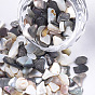 Black Lip Shell Beads, For Nail Art Decoration Accessories, No Hole/Undrilled, Chips