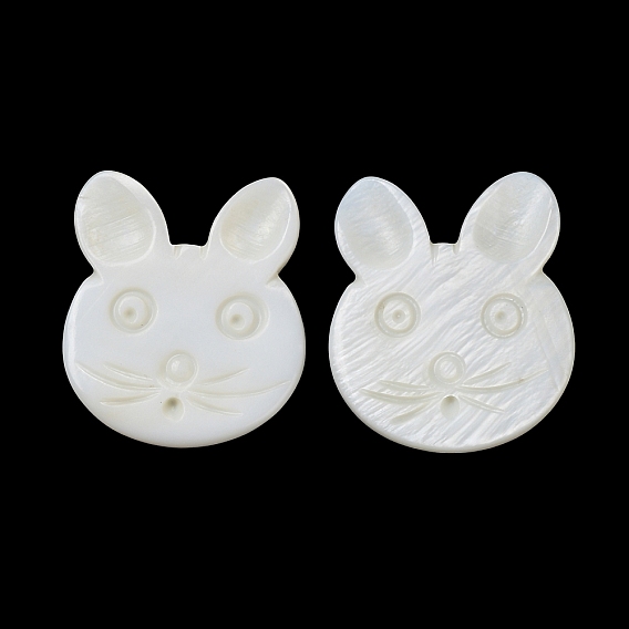 Natural Freshwater Shell Beads, Half Drilled, Rabbit
