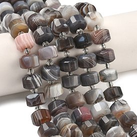 Природные Ботсвана агат бисер нитей, граненые, диск, Heishi бусы, с бисером