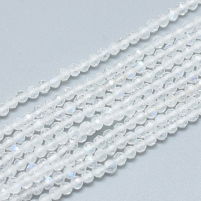 Natural Rainbow Moonstone Beads Strands, Grade AAA, Faceted, Round