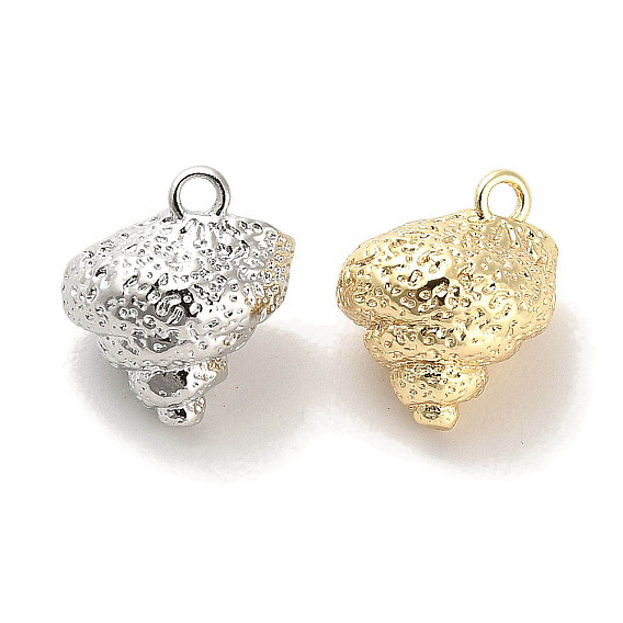 Brass Charms, Cadmium Free & Nickel Free & Lead Free, Spiral Shell
