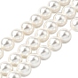 Rainbow Plated Shell Pearl Bead Strands, Grade A, Round