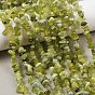 Natural Jade Chip Beads Strands, Chip