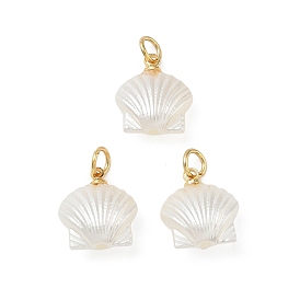 Подвески из искусственного жемчуга, шарм в форме ракушки, с открытыми пружинными кольцами из нержавеющей стали 304