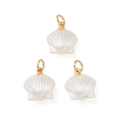 Подвески из искусственного жемчуга, шарм в форме ракушки, с открытыми пружинными кольцами из нержавеющей стали 304