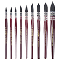 9Pcs Nylon Hair Painting Brush, with Birch Wood Handle, for Watercolor Painting Artist Professional Painting