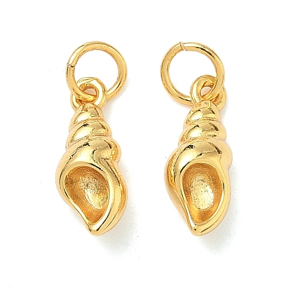 Латунные подвески, подвески в форме раковины, долговечный, без свинца и без кадмия, стойки покрытие, с целью перехода в кольце