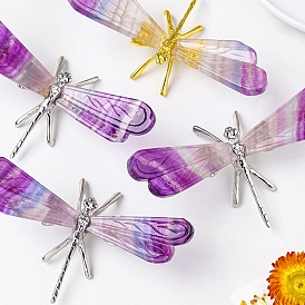 Natural Fluorite Display Decorations, with Dragonfly Metal Holder, for Home Feng Shui Ornament