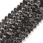 Natural Snowflake Obsidian Beads Strands, Heart