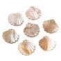 Natural Freshwater Shell Pendants, Shell Shape Charm