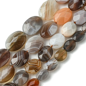Natural Botswana Agate Beads Strands, Faceted, Flat Oval