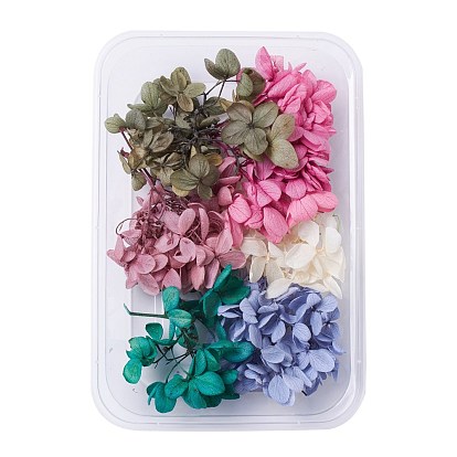 Fábrica de China Flores secas, accesorios para hacer jabones de velas diy,  con caja de plástico rectangular, color mezclado ~~ cm a granel  en línea 