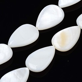 Natural Sea Shell Beads Strands, Drop