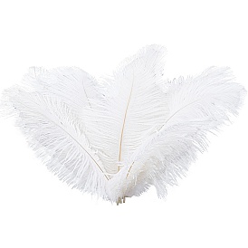 Gorgecraft 24Pcs Ostrich Feather Costume Accessories, Sewing Craft Decoration, Feather