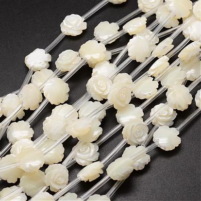 Brins de perles de coquille de trochid / trochus shell, fleur, 12~13x5~6mm, Trou: 1mm, Environ 15 pcs/chapelet, 15.75 pouce
