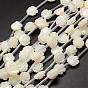 Brins de perles de coquille de trochid / trochus shell, fleur, 12~13x5~6mm, Trou: 1mm, Environ 15 pcs/chapelet, 15.75 pouce