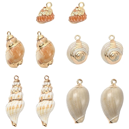 10 piezas 5 estilos colgantes de concha mixta natural galvanizada, encantos de forma de concha, con fornituras de latón, dorado