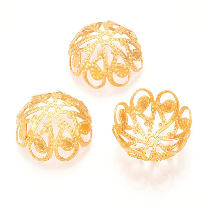 Железный шарик крышки, полые цветок