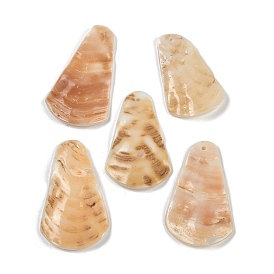 Natural Freshwater Shell Pendants, Trapezoid Charms