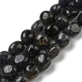 Natural Iolite Beads Strands, Nuggets Tumbled Stone