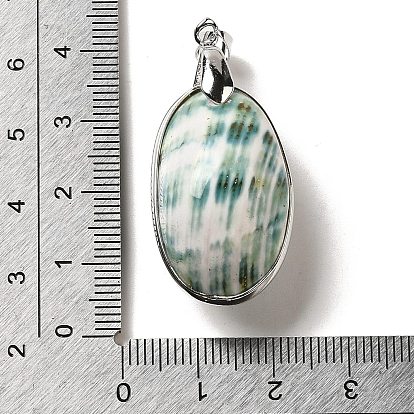 Electroplate Natural Shell Pendants, Platinum Plated Brass Oval Charms with Iron Snap on Bails