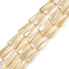Natural Trochus Shell Beads Strands, Cone