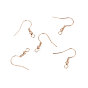 Iron Earring Hooks, with Horizontal Loop, Ear Wire, Cadmium Free & Lead Free