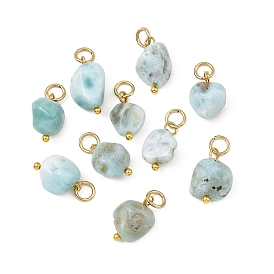 Natural Larimar Pendants, Nuggets Charms, with 304 Stainless Steel Open Jump Rings, Golden