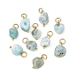 Natural Larimar Pendants, Nuggets Charms, with 304 Stainless Steel Open Jump Rings, Golden