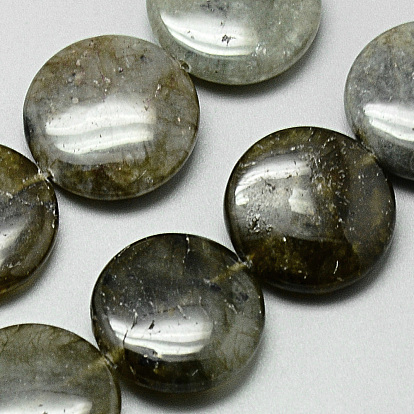 Natural Labradorite Beads Strands, Flat Round