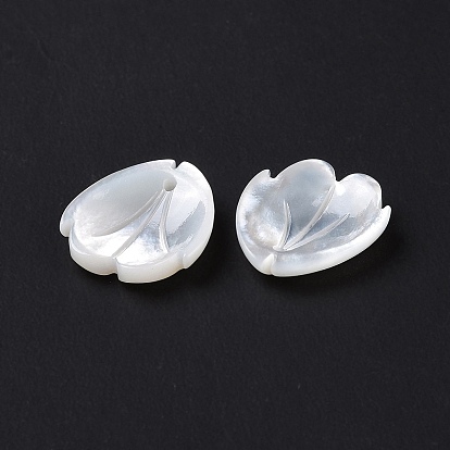 Natural White Shell Charms, Flower Petal