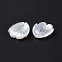 Natural White Shell Charms, Flower Petal