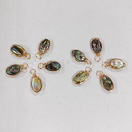 10 pcs pendentifs en coquille d'ormeau naturel/coquille de paua câblés en cuivre, charmes ovales