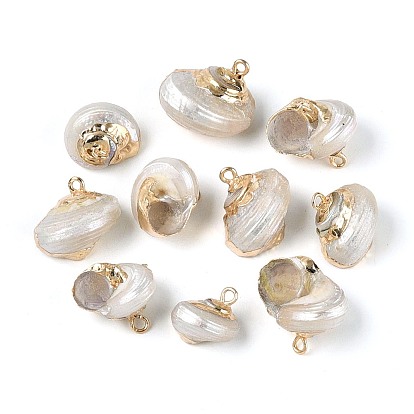 Гальванические подвески из натуральной спирали в ракушке, Подвески в виде раковин с петлями из железа золотистого оттенка.