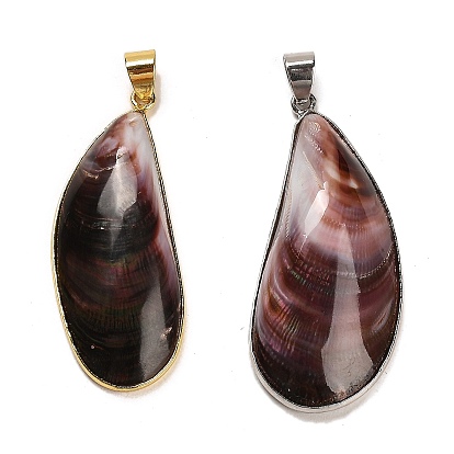 Natural Shell Pendants, Brass Teardrop Charms with Snap on Bails