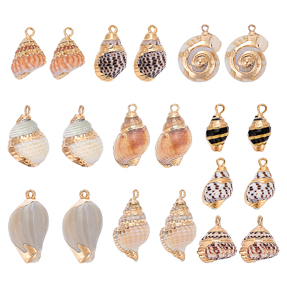 20Stück 10Stile galvanisierte natürliche gemischte Muschelanhänger, Anhänger in Muschelform, mit Messing-Zubehör, golden