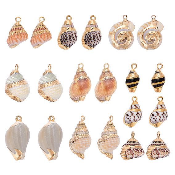 20pcs 10 styles pendentifs en coquillages mixtes naturels électroplaqués, breloques en forme de coquillage, avec les accessoires en laiton, or